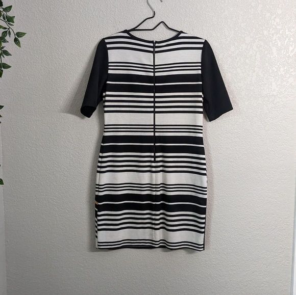 Donna Ricco black white striped sheath dress above knee length short sleeves 8P - Picture 2 of 11